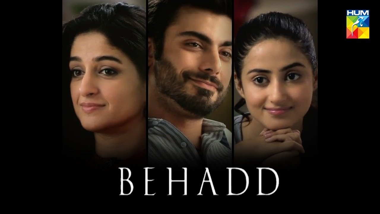 Mr. Khan’s Review on Behadd (2013) – Mr. Khan's Reviews